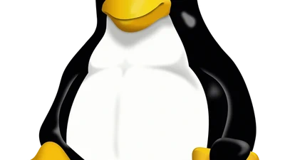 Linux basics featured image
